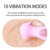 Picture of SEA HORSE 10 Modes Suckation Vibrator Clitoral Stimulator*Pink