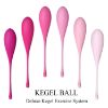 Picture of ROUGE Weighted Training Kegel Set