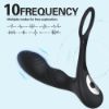 Picture of William Remote Control Cock Ring 10 Function Anal Vibrator with Warming