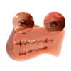 Picture of Ayako Realistic Dual-Channel Male Masturbator 2.3kg